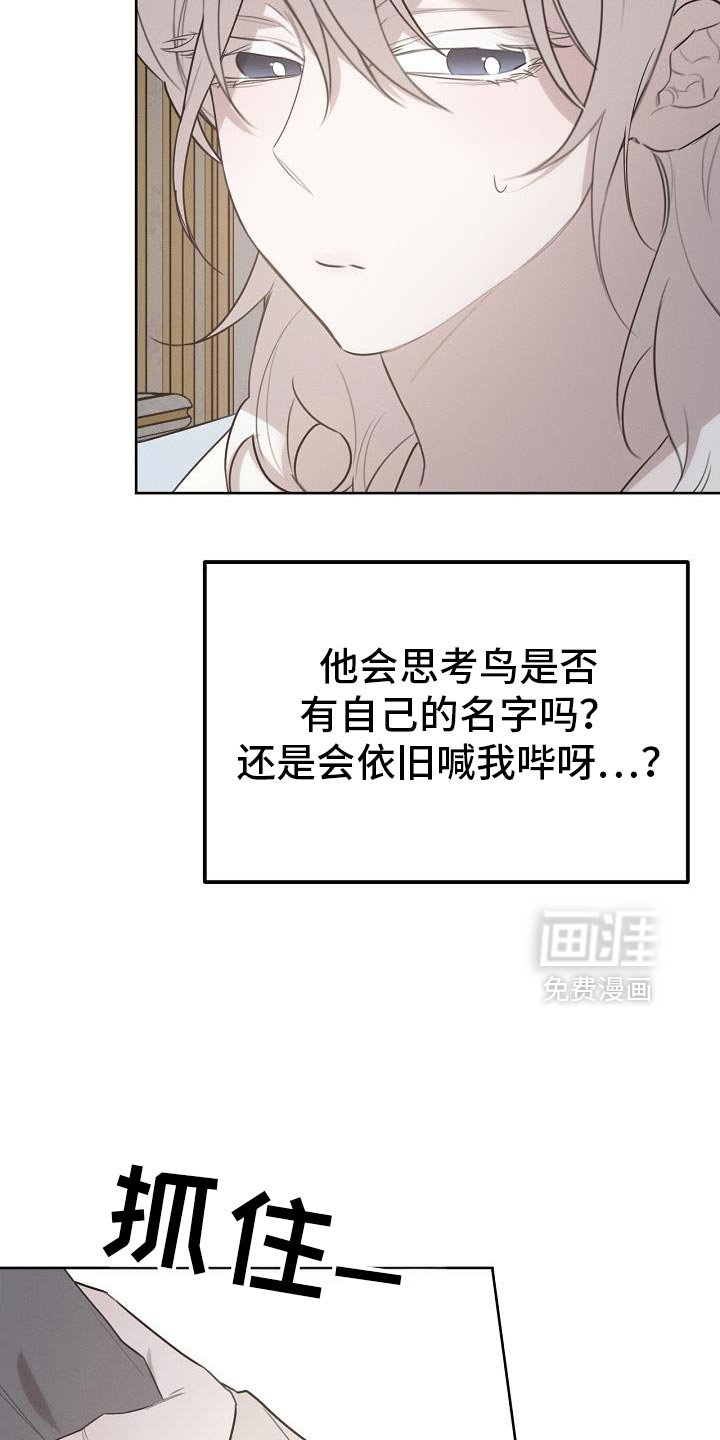 第52章：可以叫我名字吗