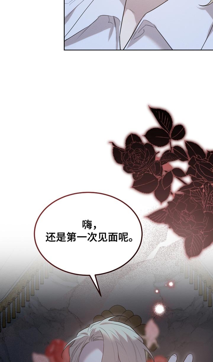 第55章：应该要去别的地方
