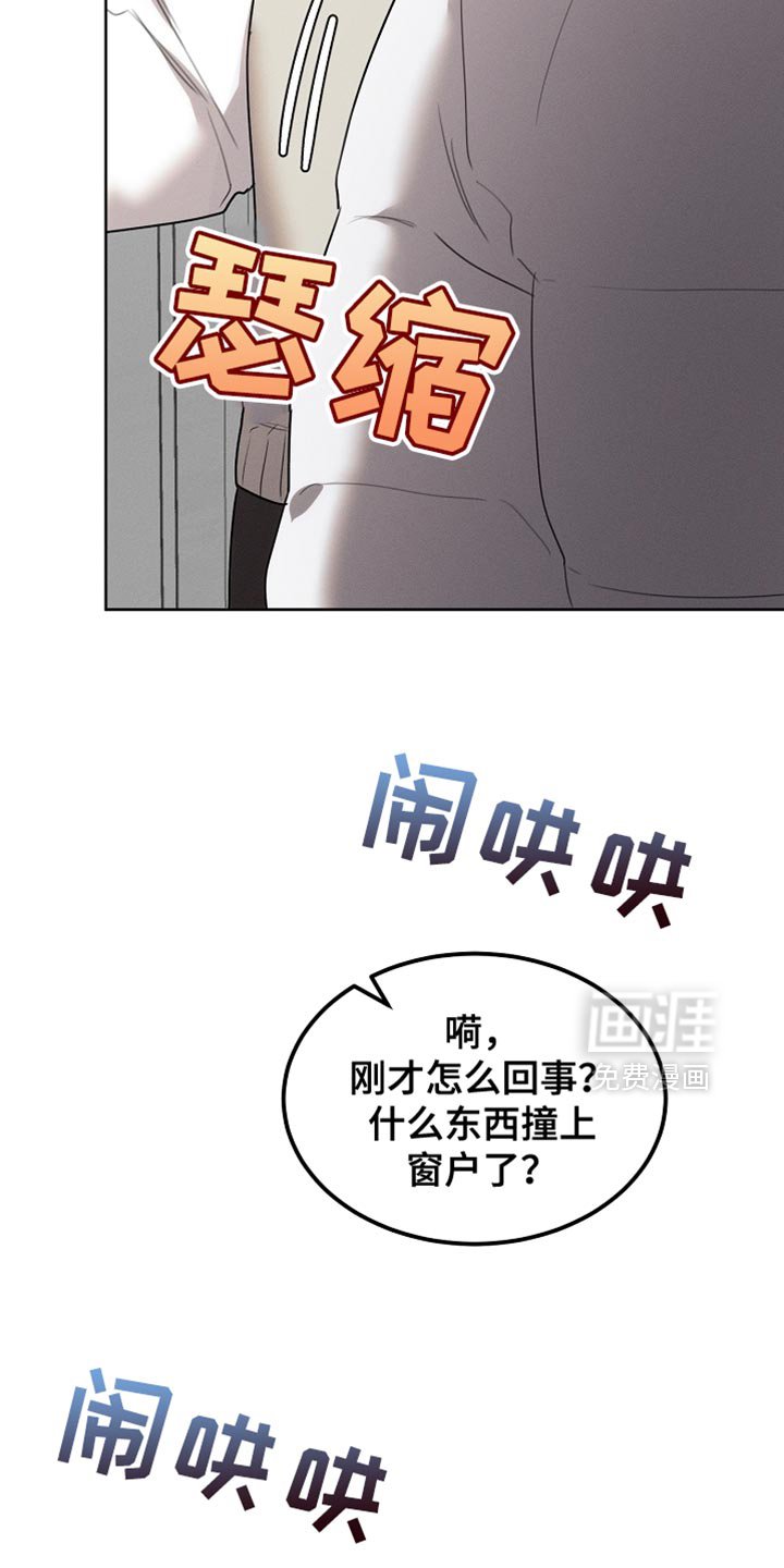 第59章：受伤的小鸟