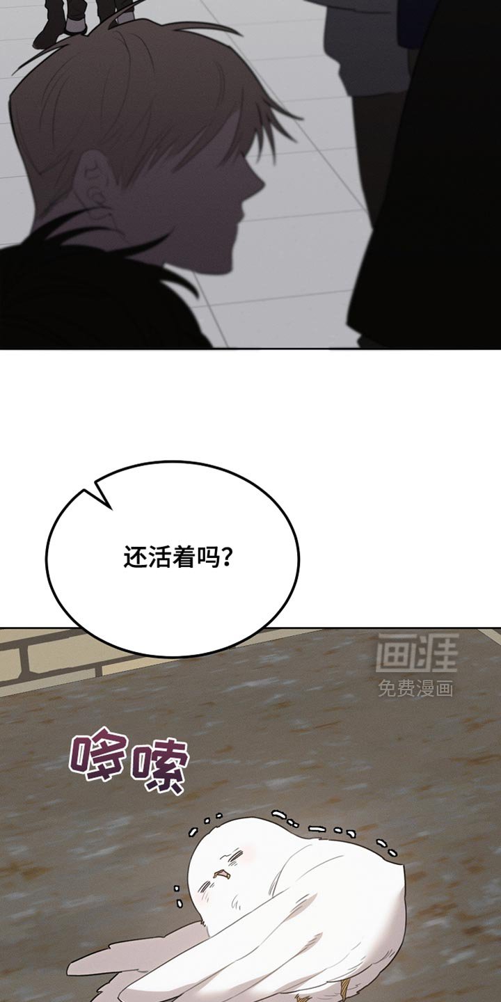 第59章：受伤的小鸟