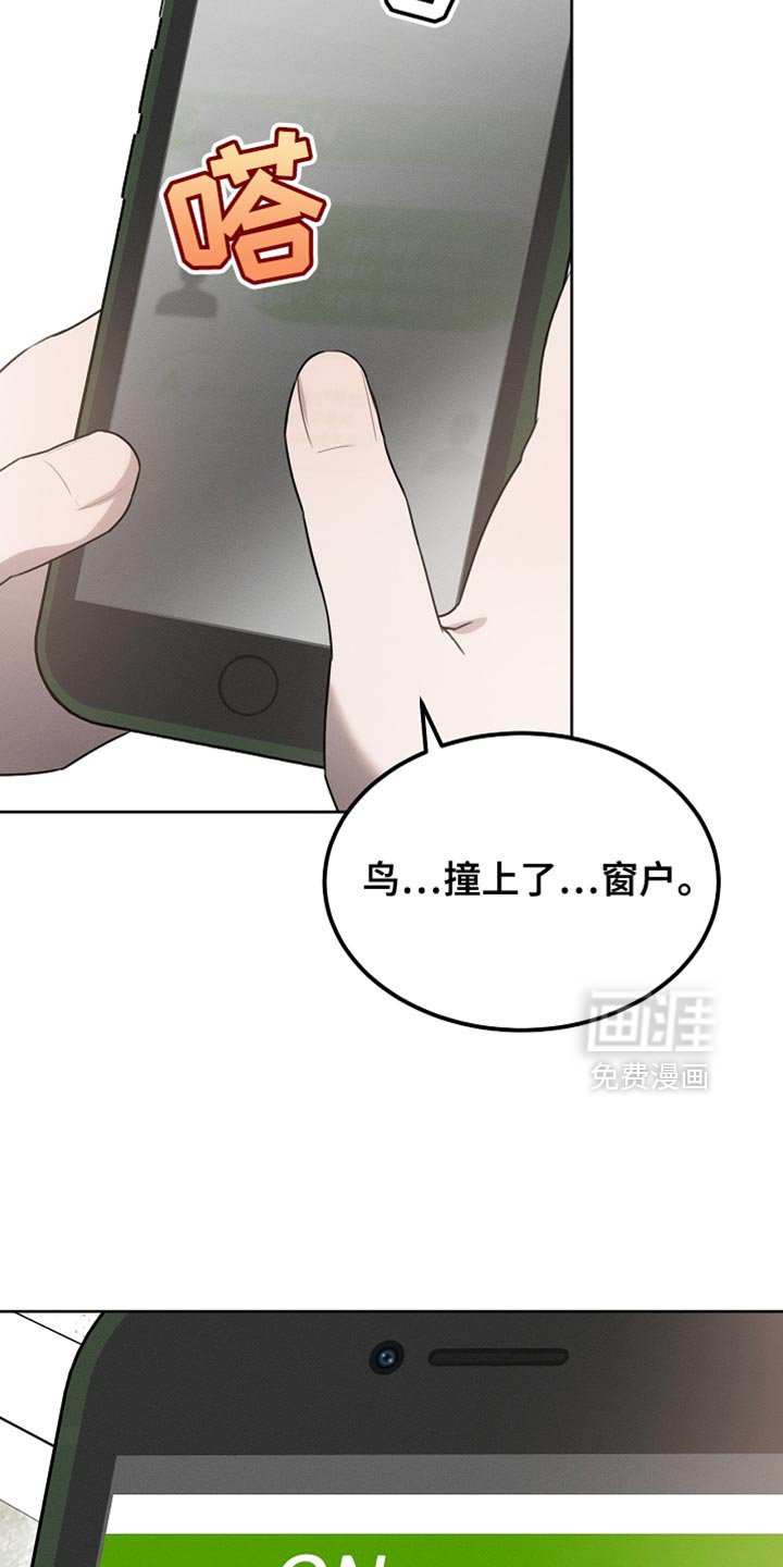 第59章：受伤的小鸟