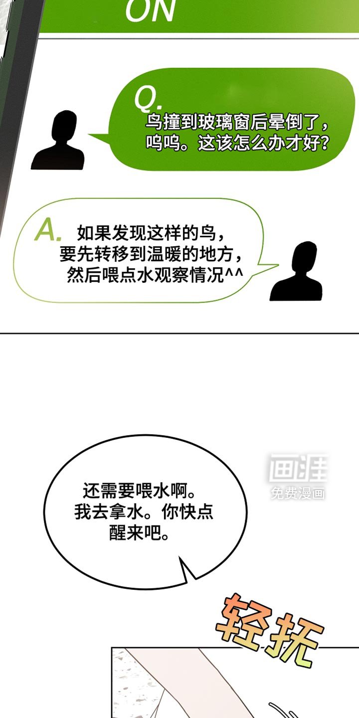 第59章：受伤的小鸟