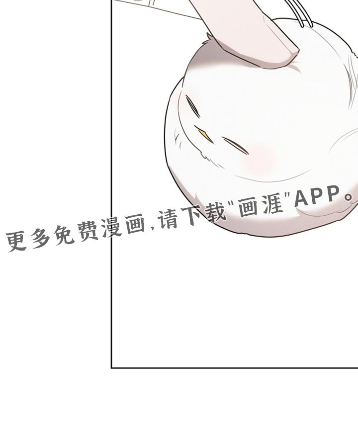 第59章：受伤的小鸟
