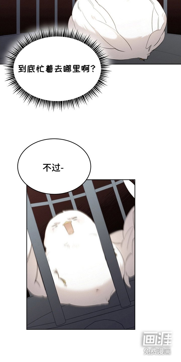 第6章：公爵