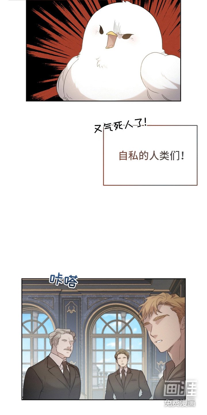 第6章：公爵