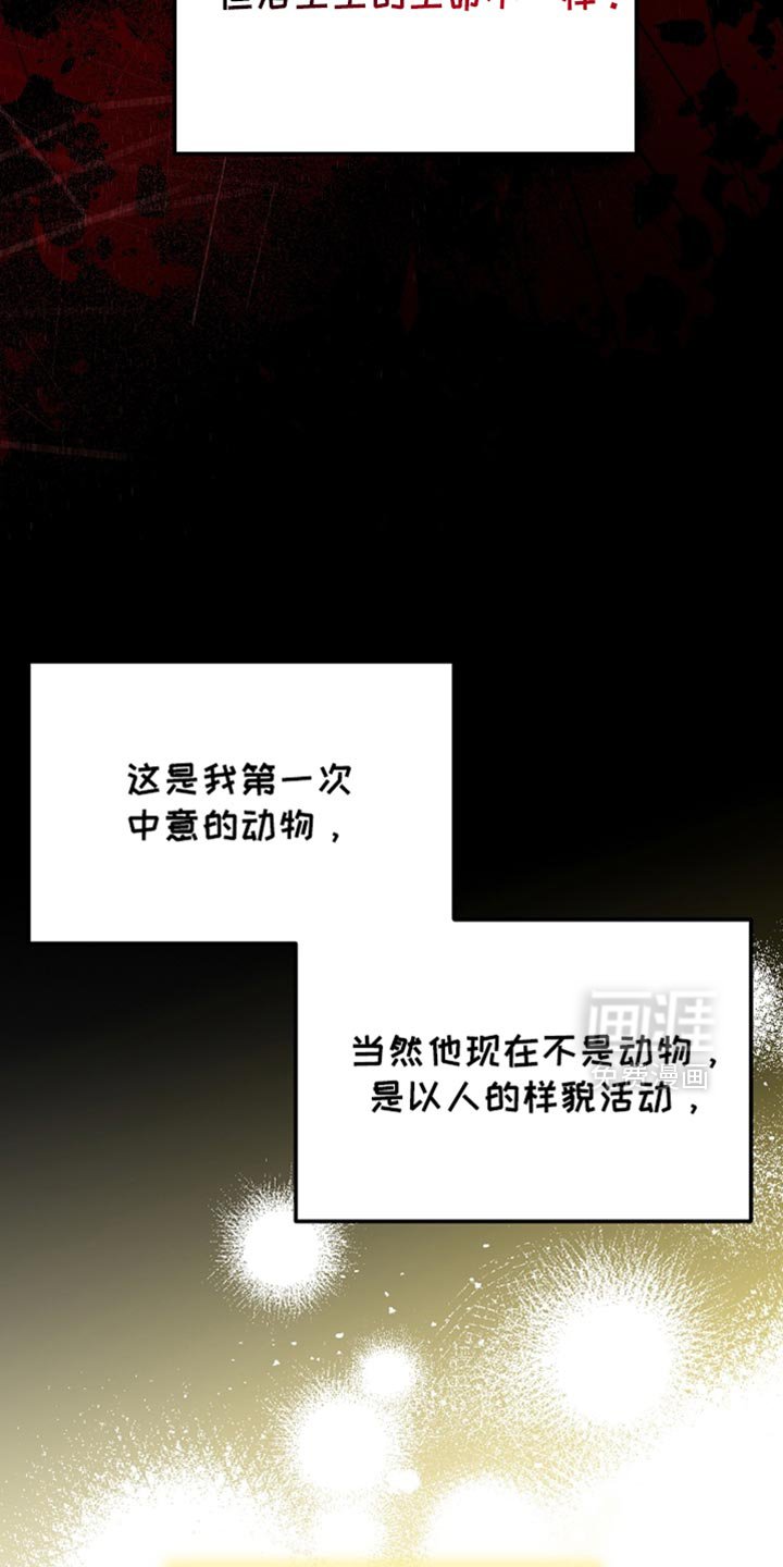 第61章：我不知道