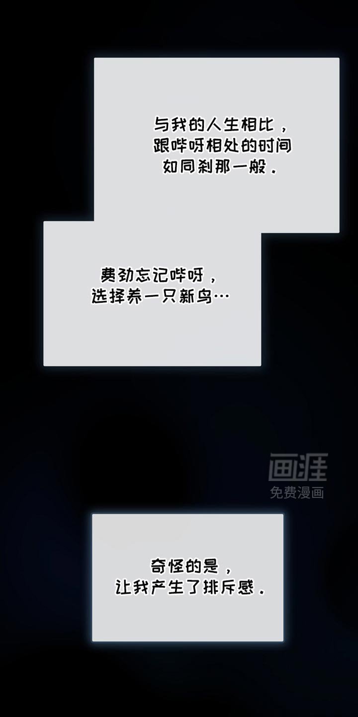 第62章：是什么样的存在