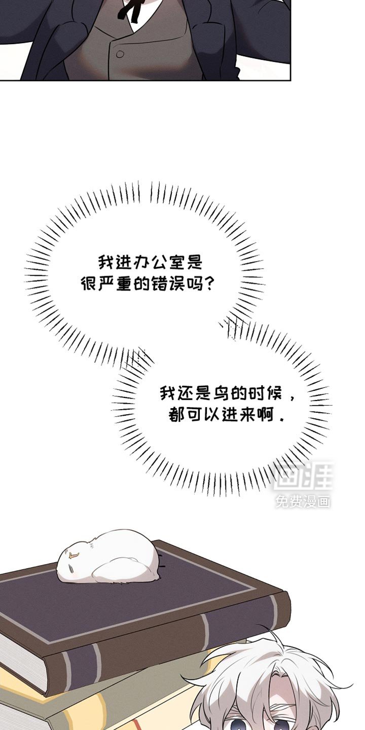 第63章：只是客人