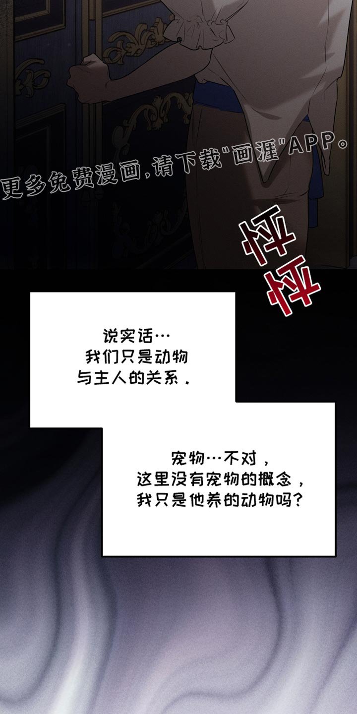 第63章：只是客人