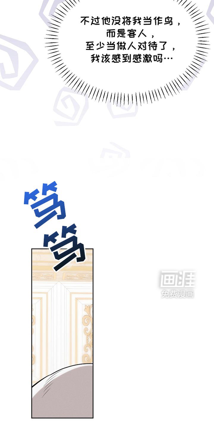 第64章：朋友