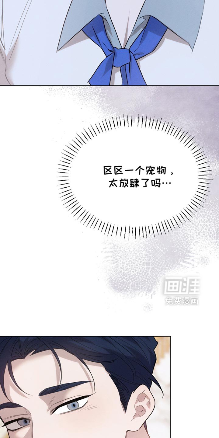 第64章：朋友