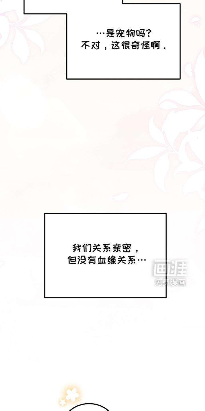 第64章：朋友