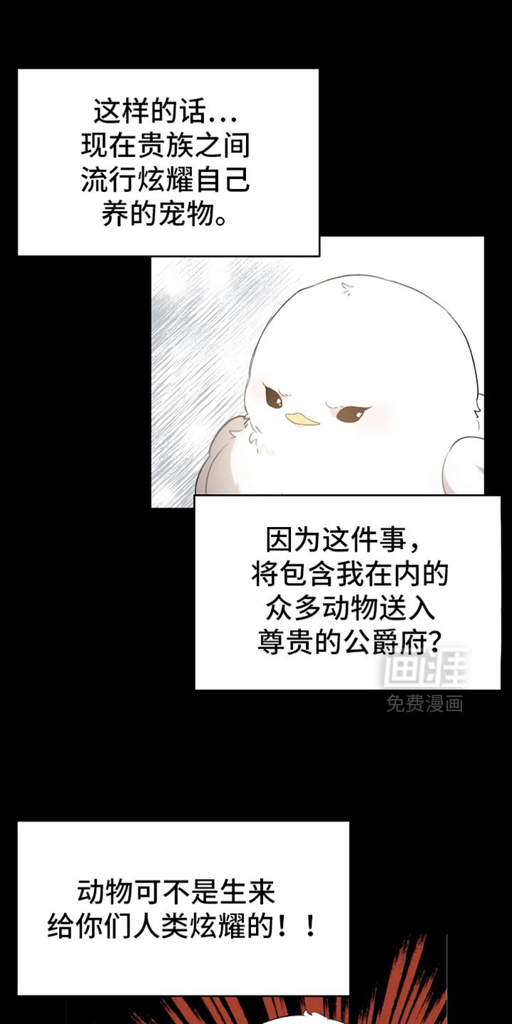 第66章：约定