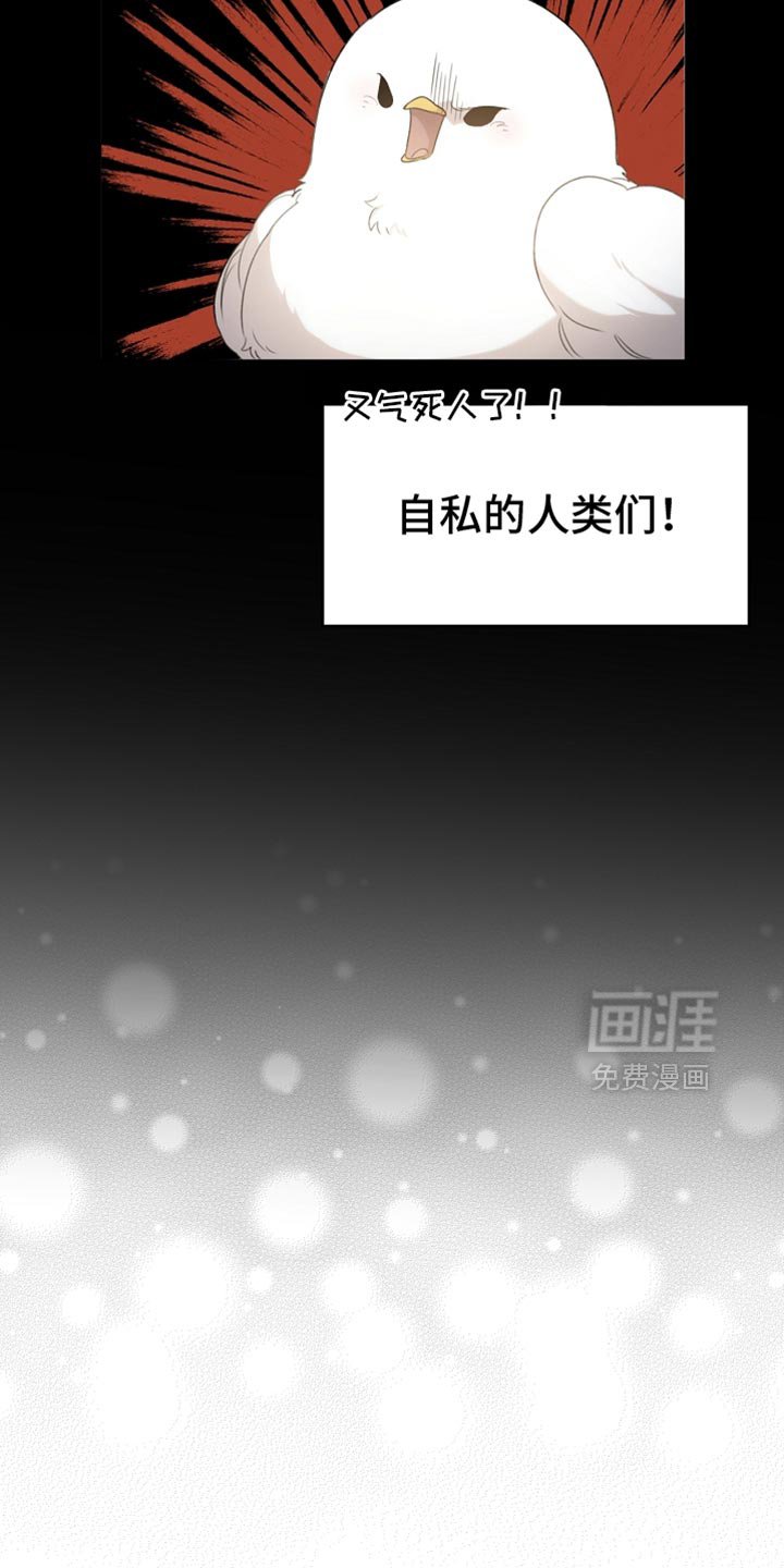 第66章：约定