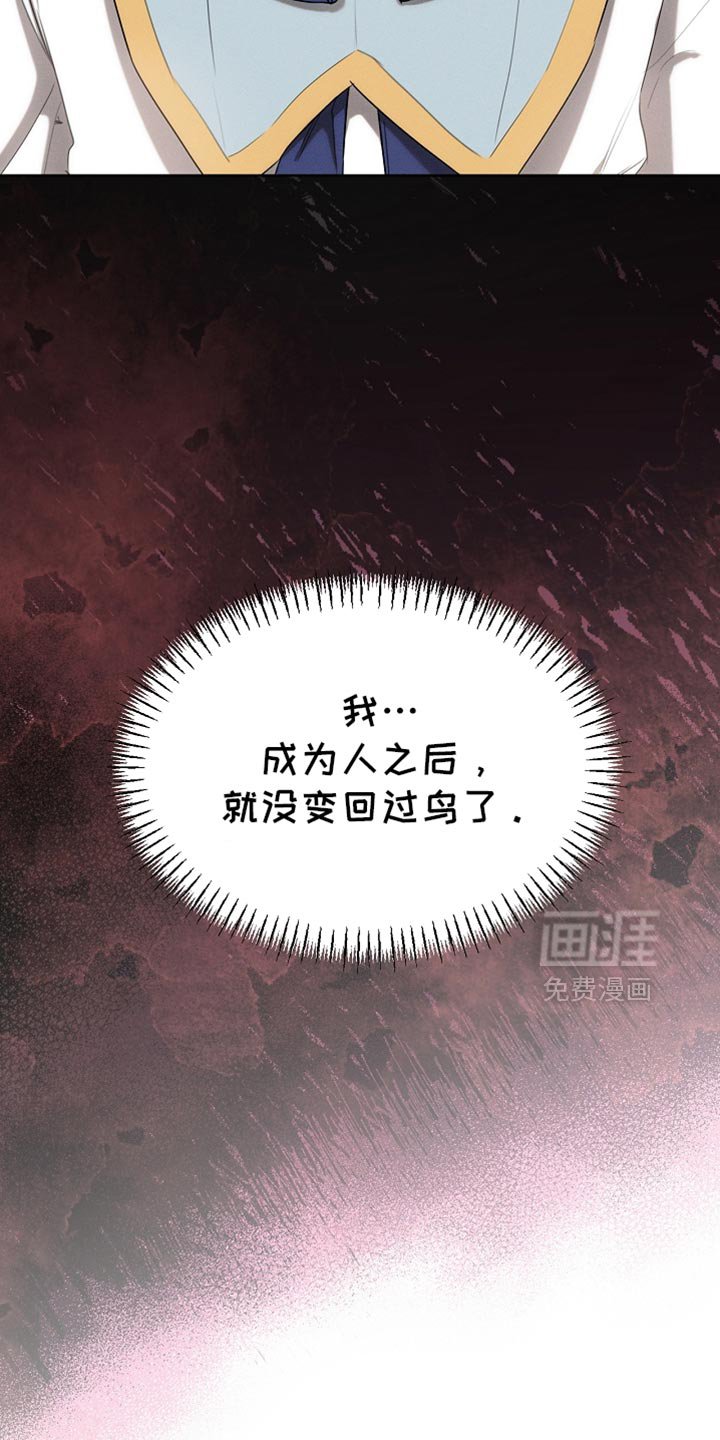 第66章：约定