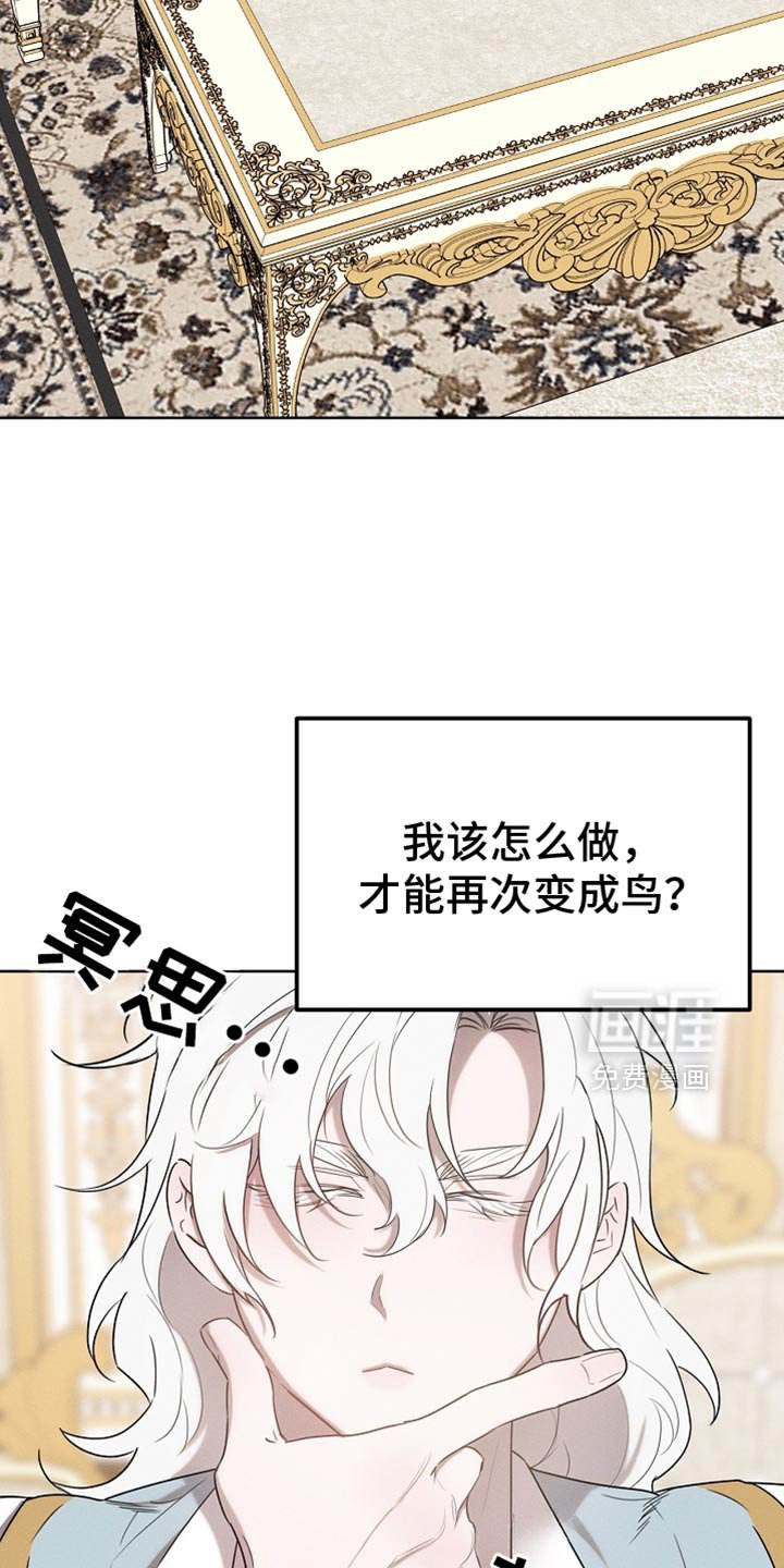 第66章：约定