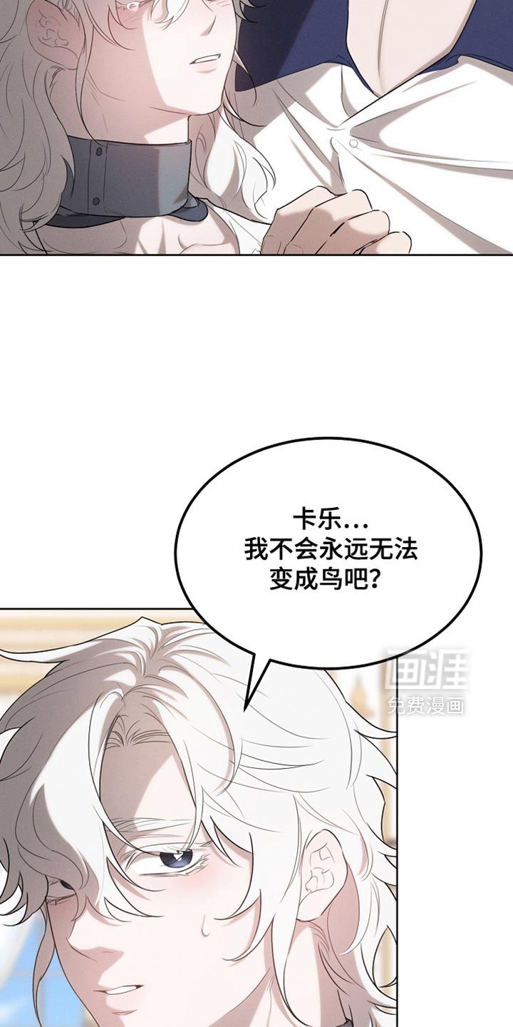 第67章：道歉