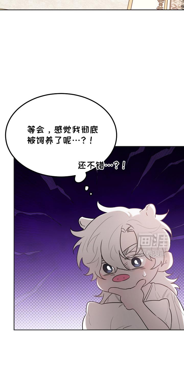 第67章：道歉
