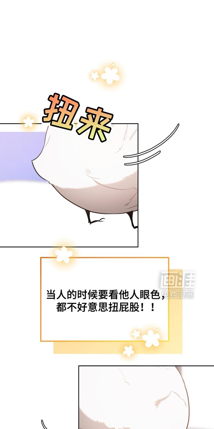 第69章：随意变身