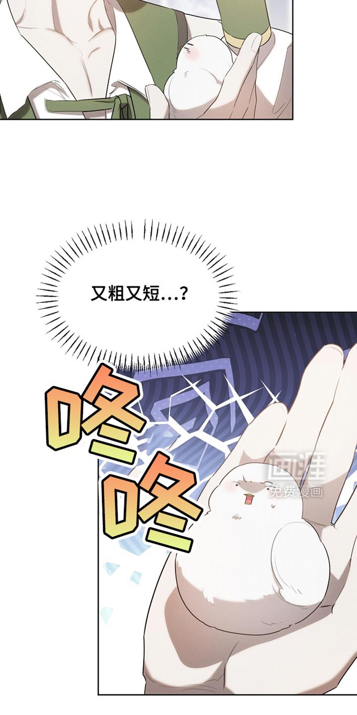 第69章：随意变身