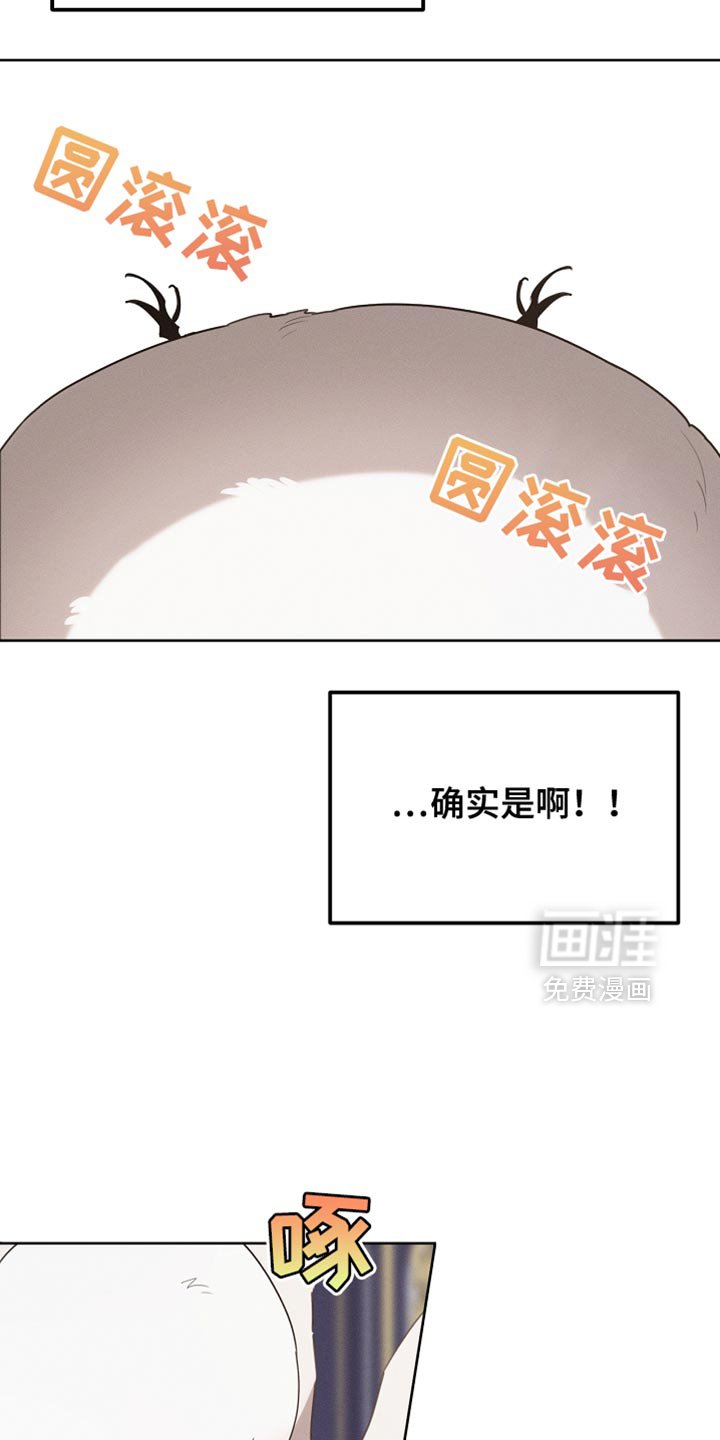 第69章：随意变身