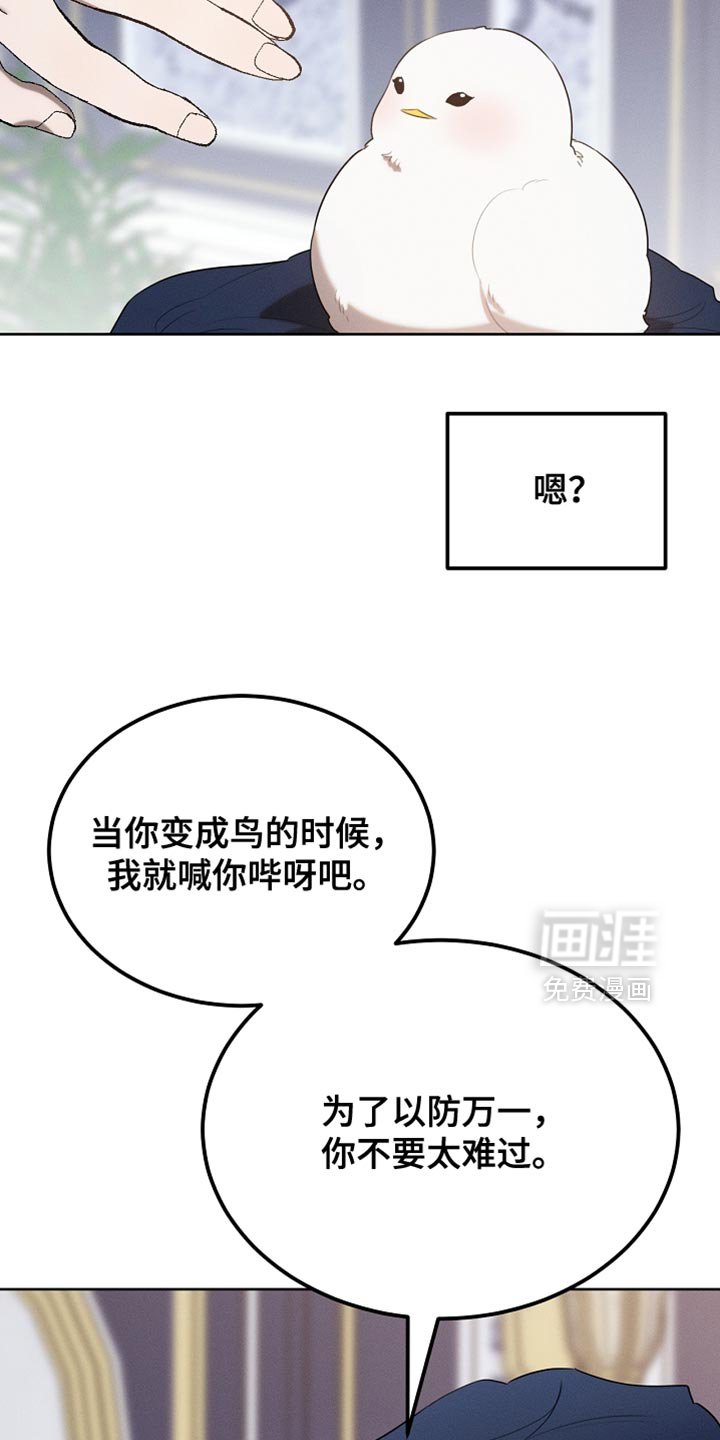 第69章：随意变身