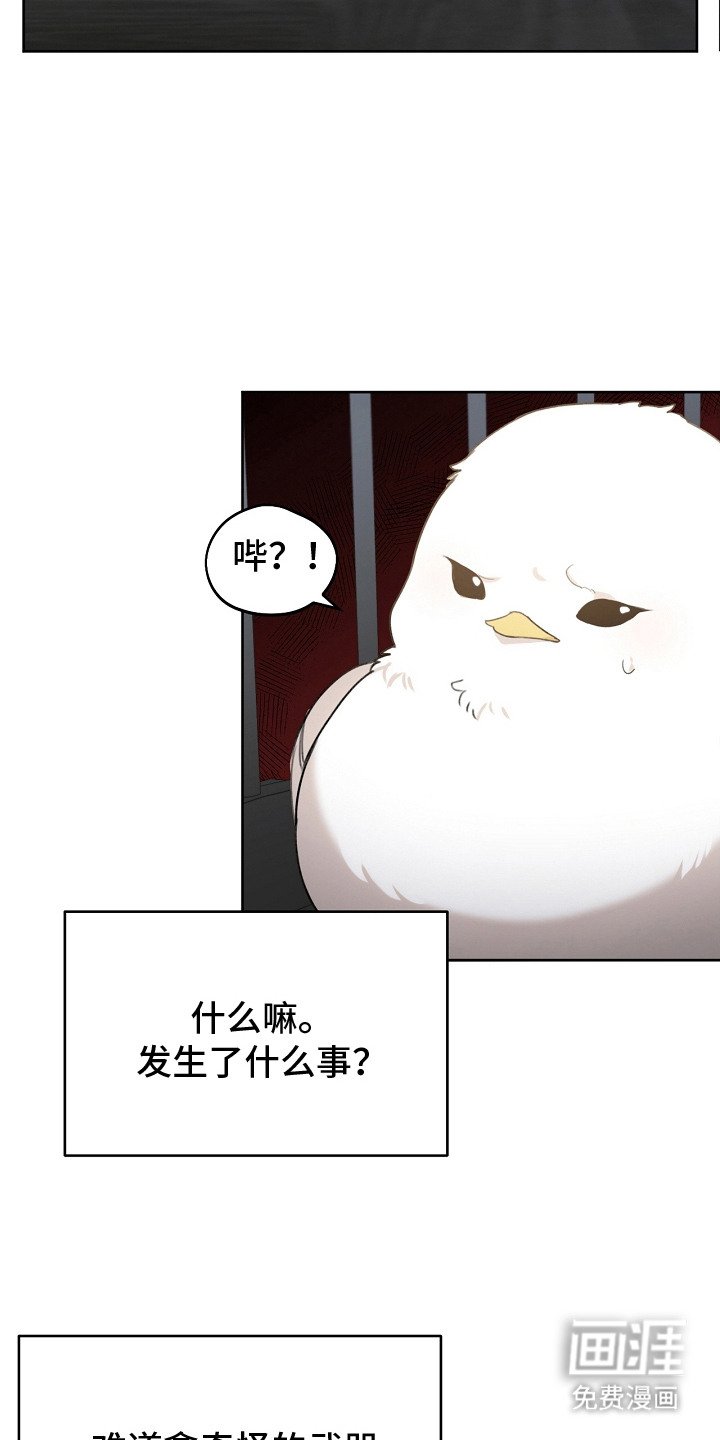 第7章：流行趋势