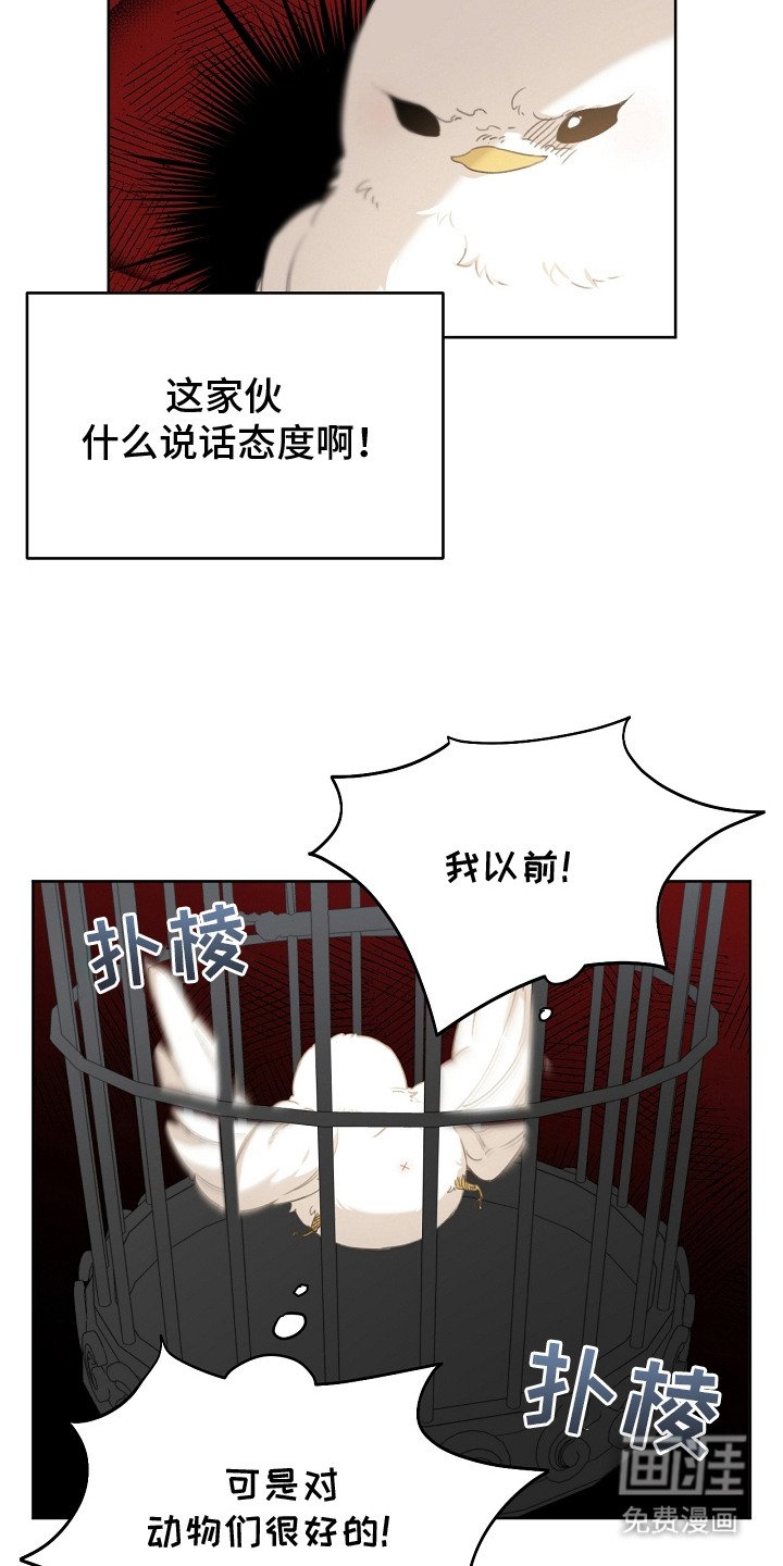 第7章：流行趋势