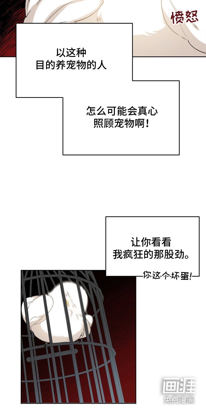 第7章：流行趋势
