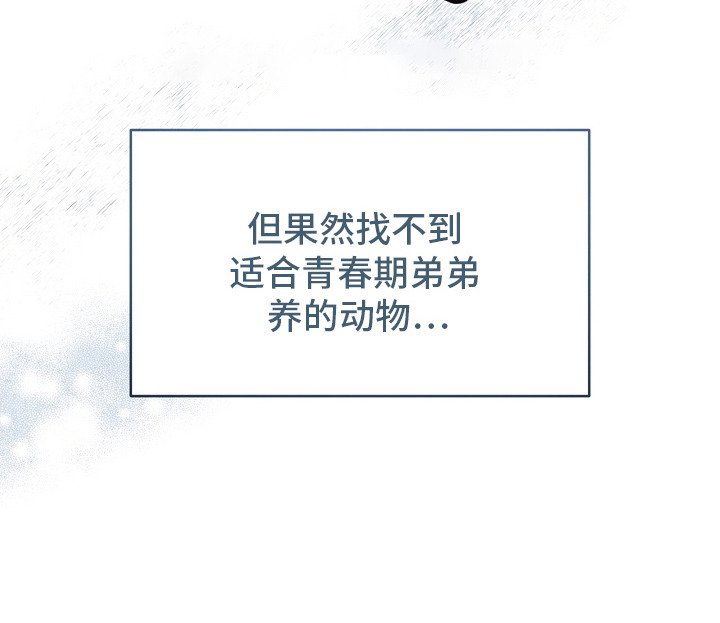 第7章：流行趋势
