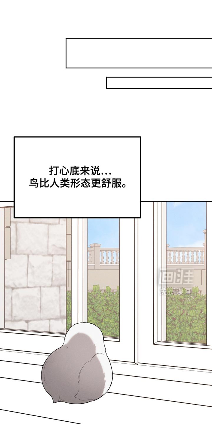 第70章：我稍微明白了