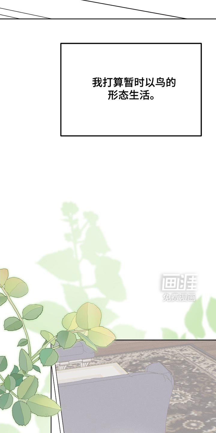 第70章：我稍微明白了