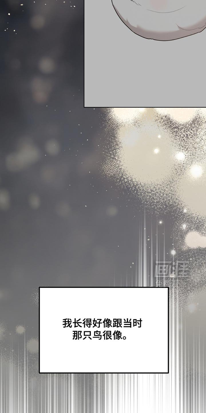 第70章：我稍微明白了