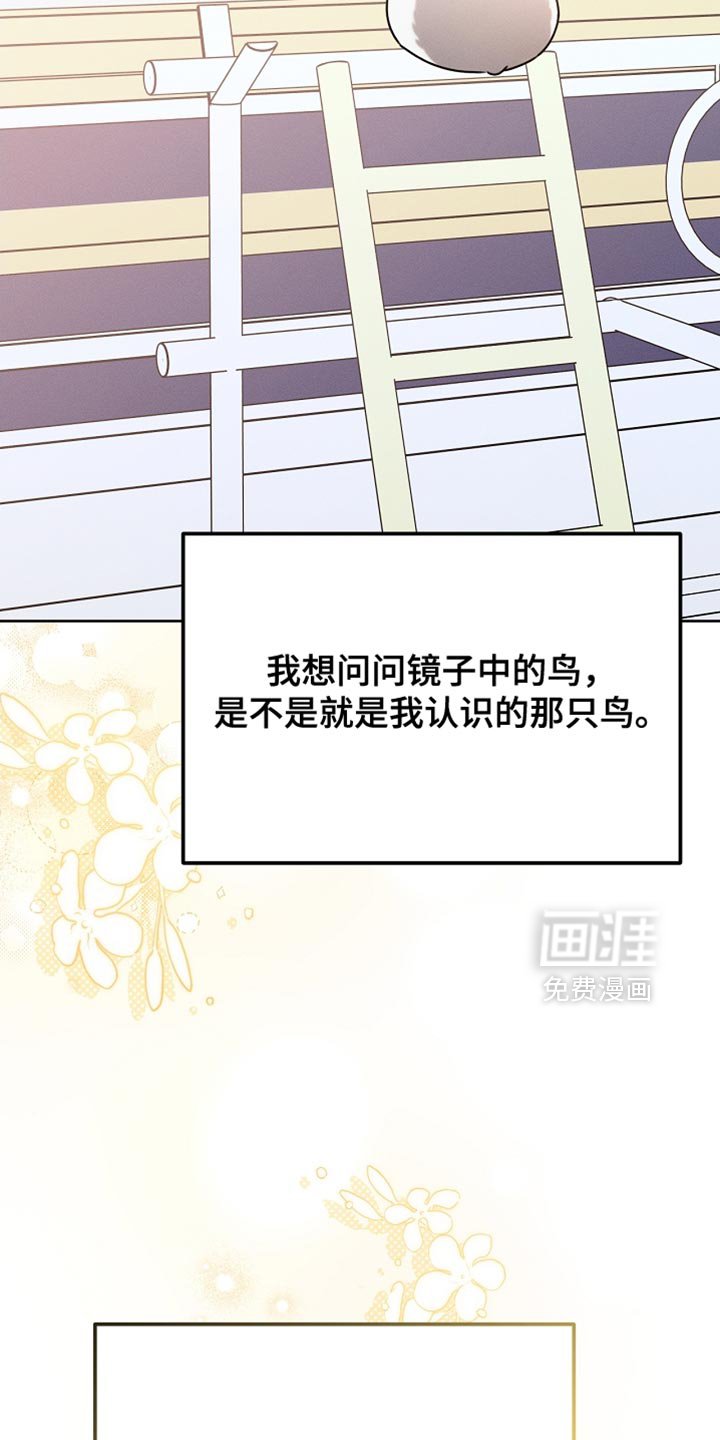 第70章：我稍微明白了