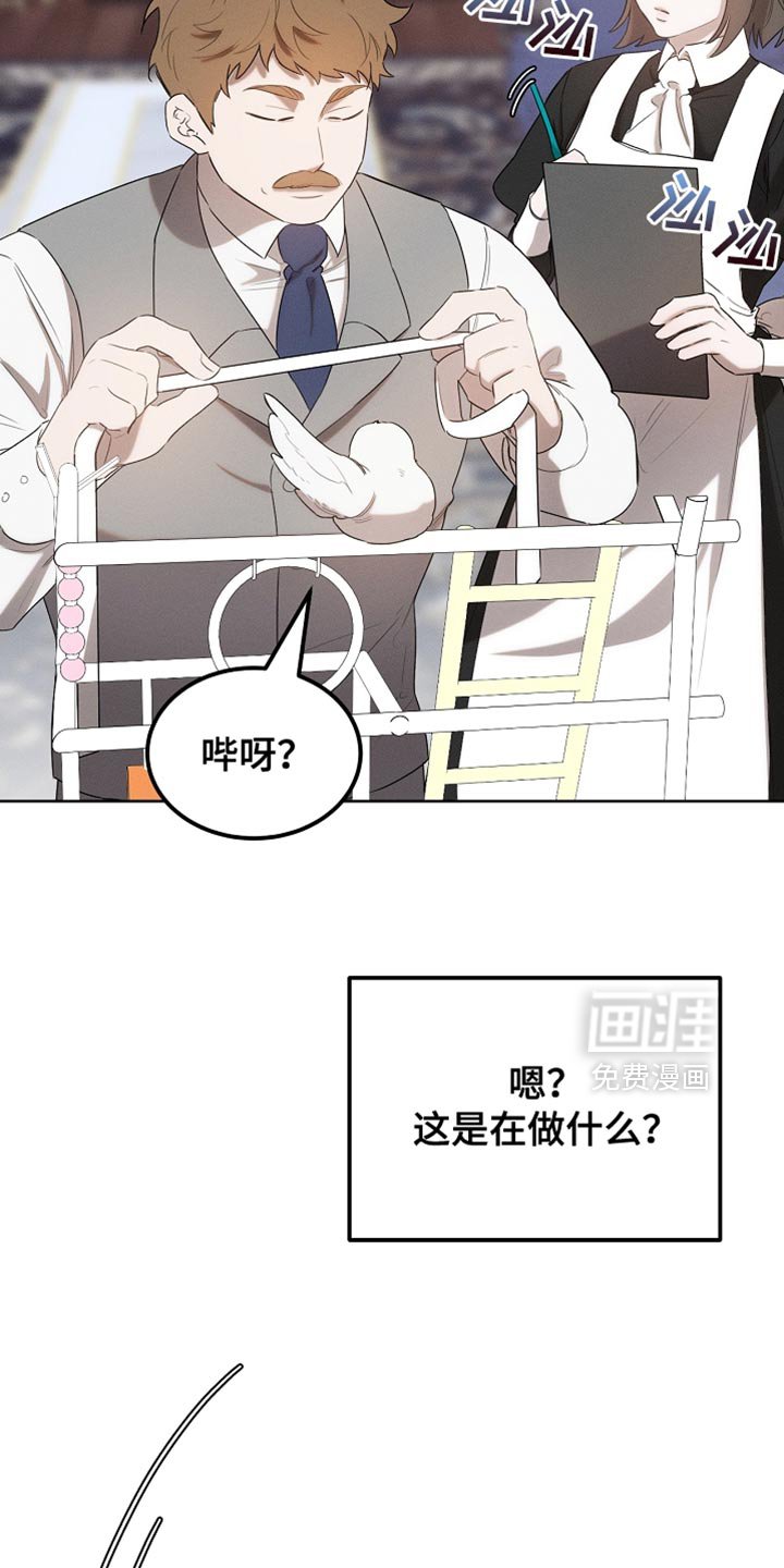 第70章：我稍微明白了