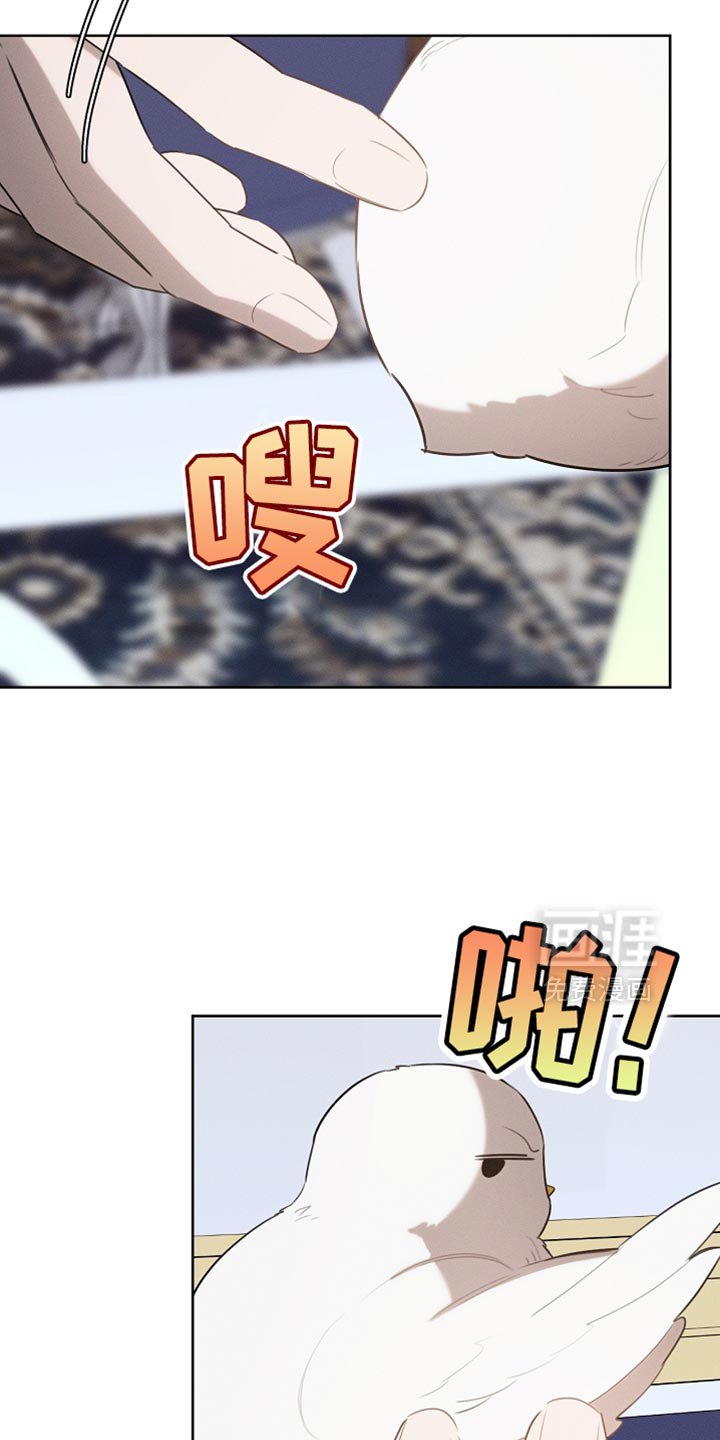第70章：我稍微明白了
