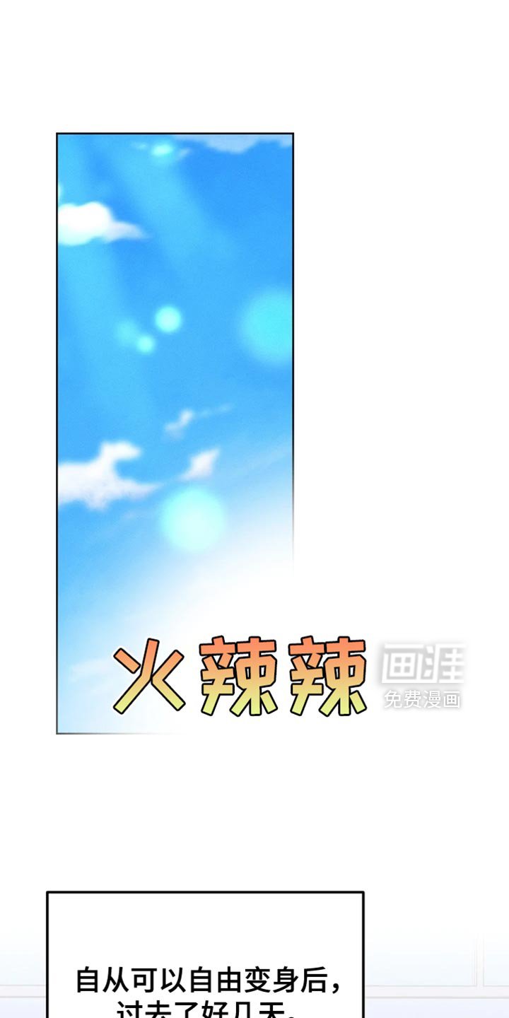 第71章：眼镜