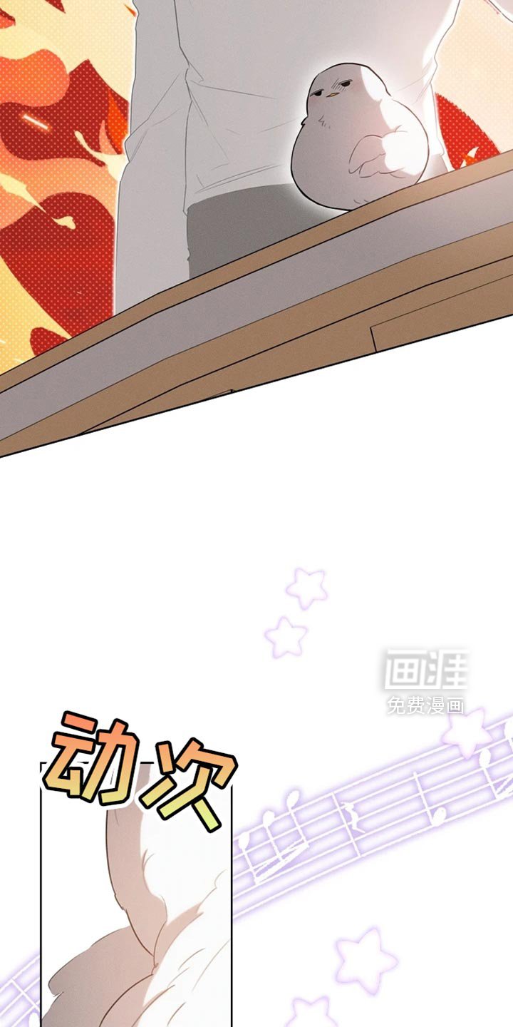 第71章：眼镜