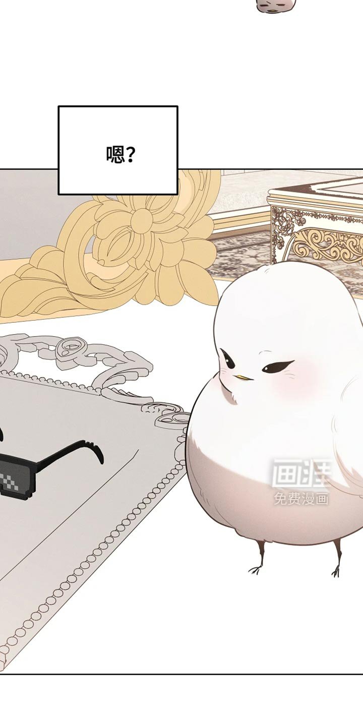 第71章：眼镜