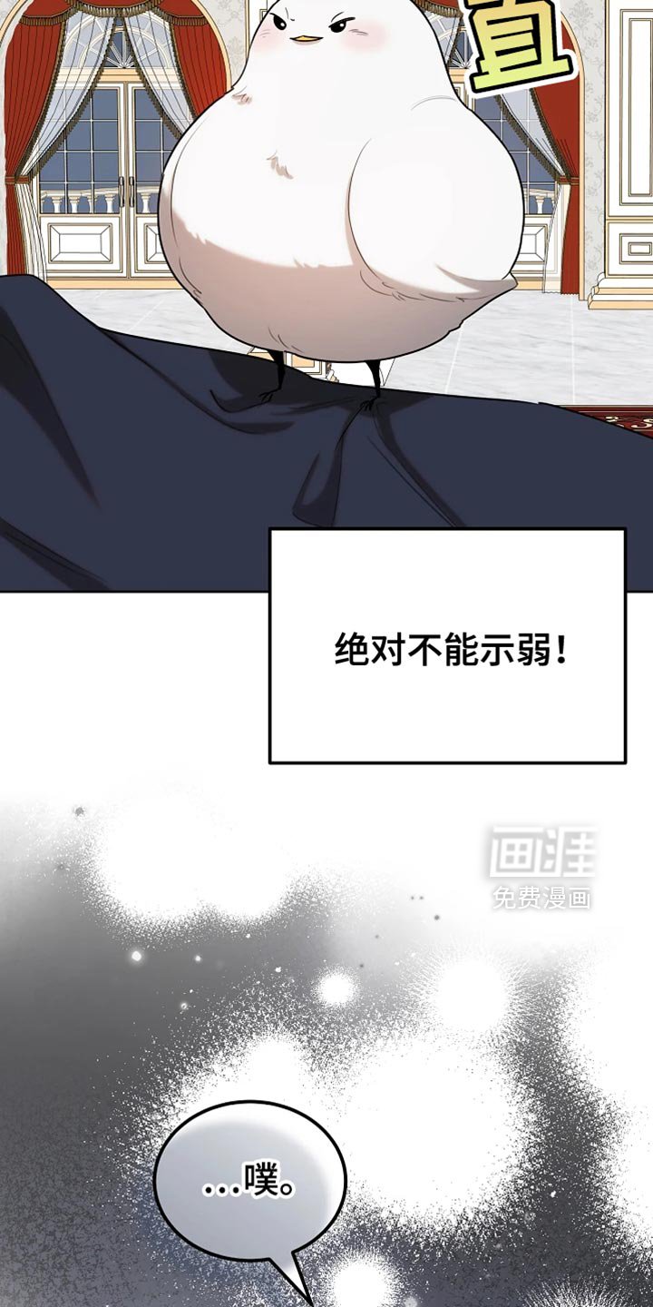 第72章：本身就很帅气