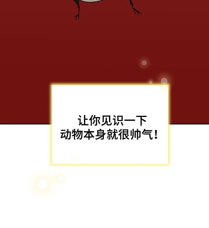 第72章：本身就很帅气