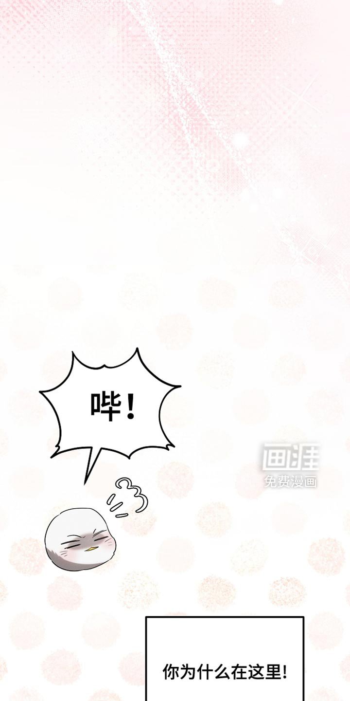 第73章：舞蹈