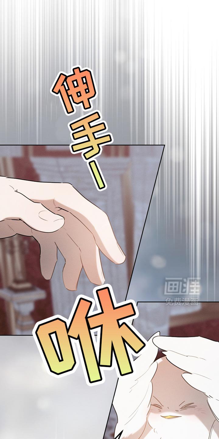第74章：有这胆子？