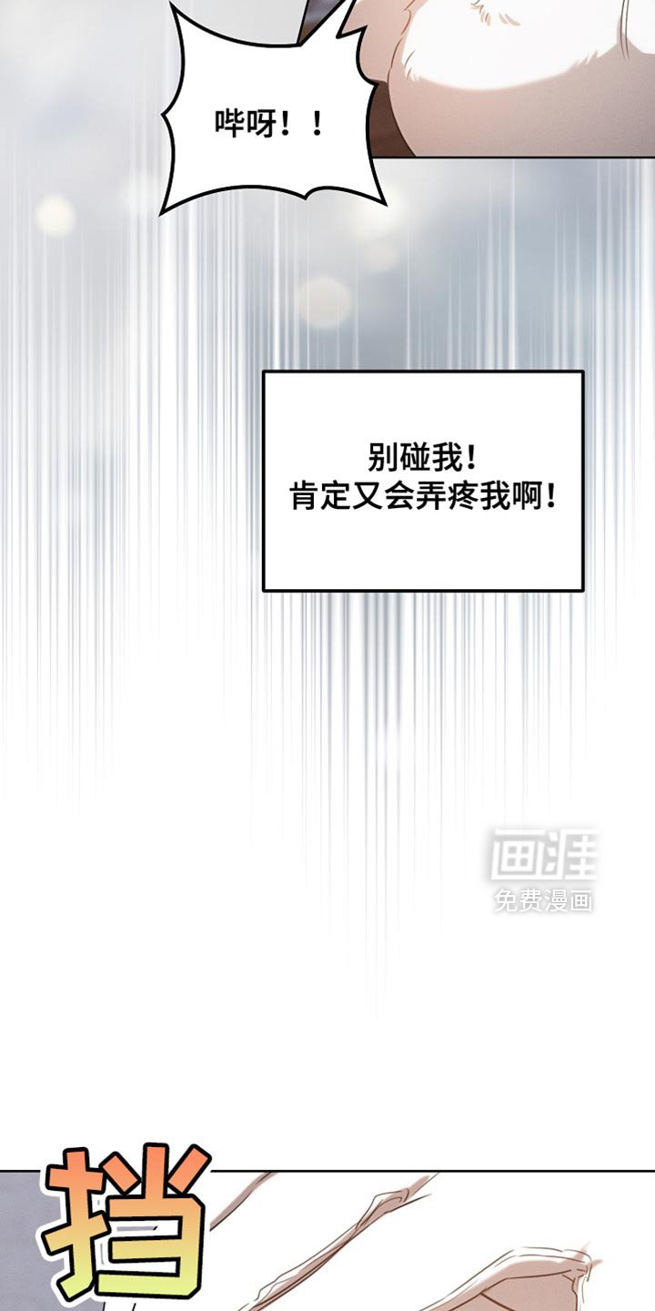第74章：有这胆子？