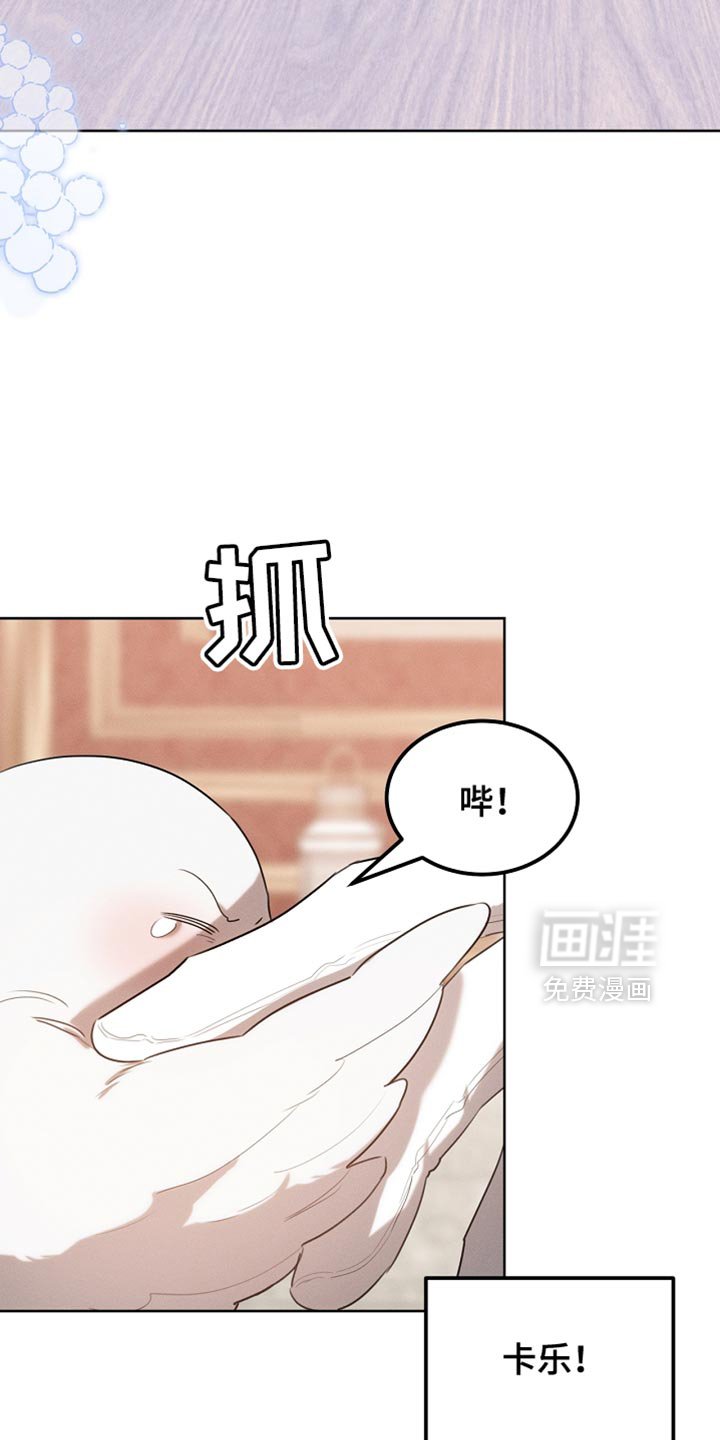 第74章：有这胆子？
