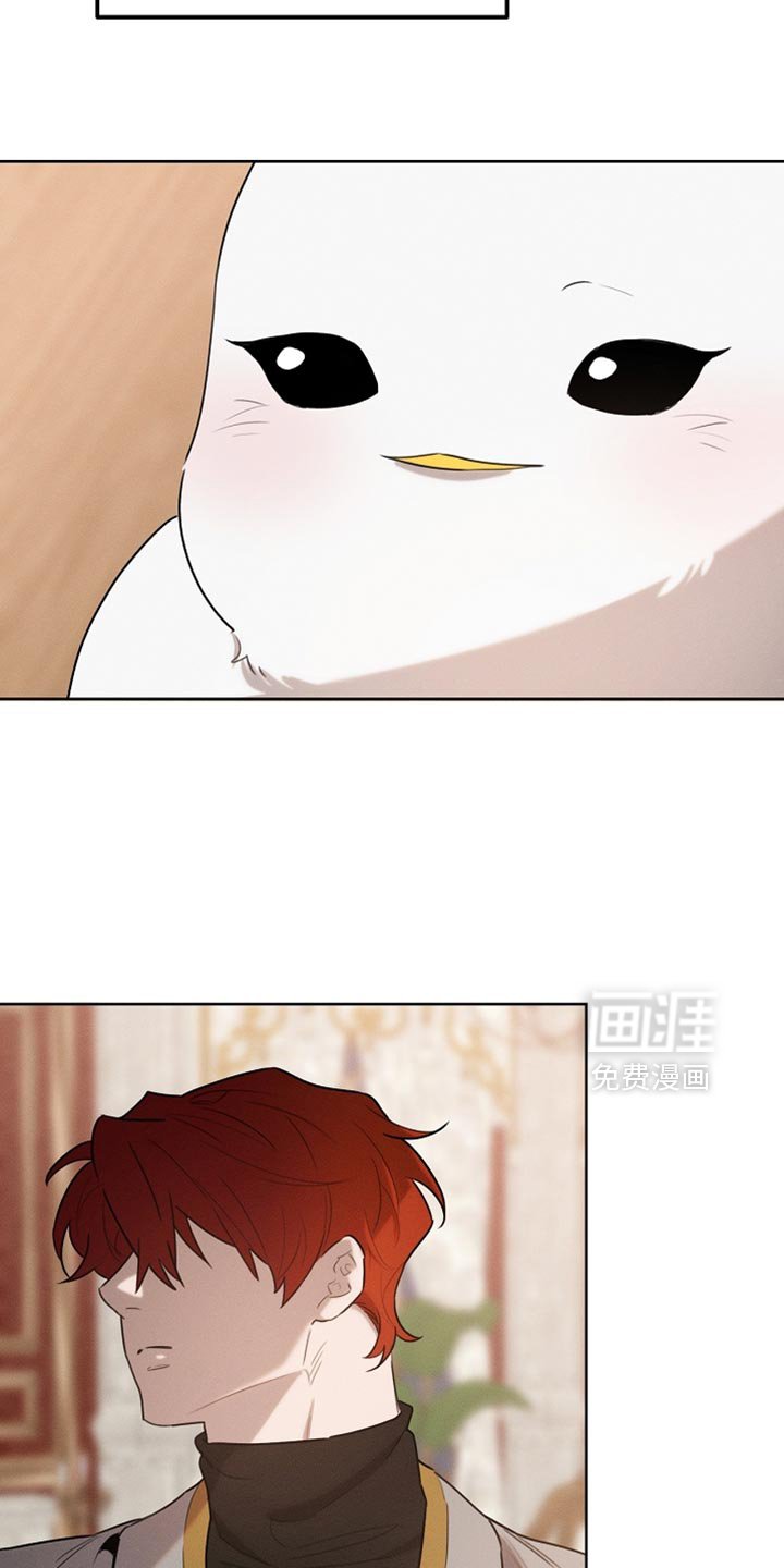 第74章：有这胆子？