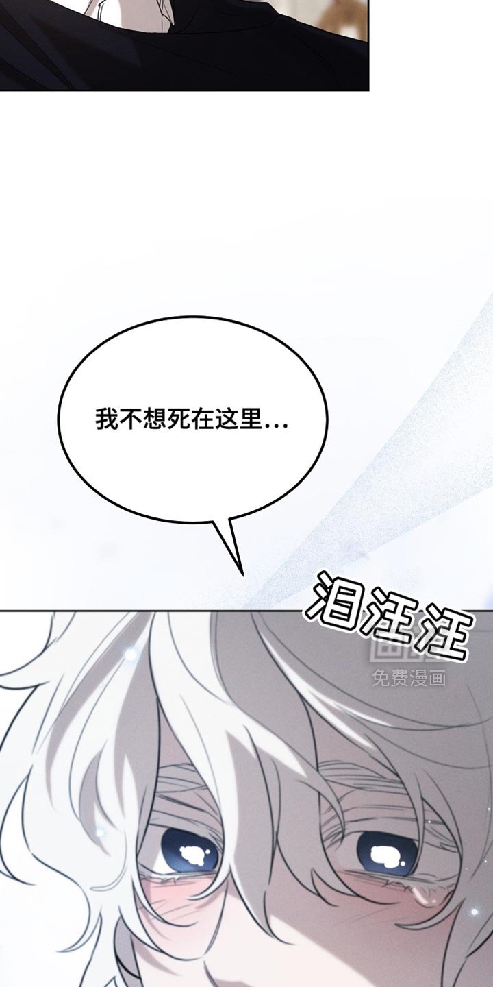 第74章：有这胆子？