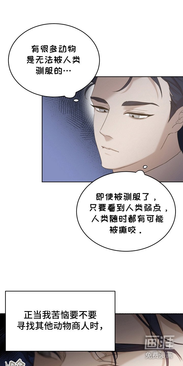 第8章：先发制人