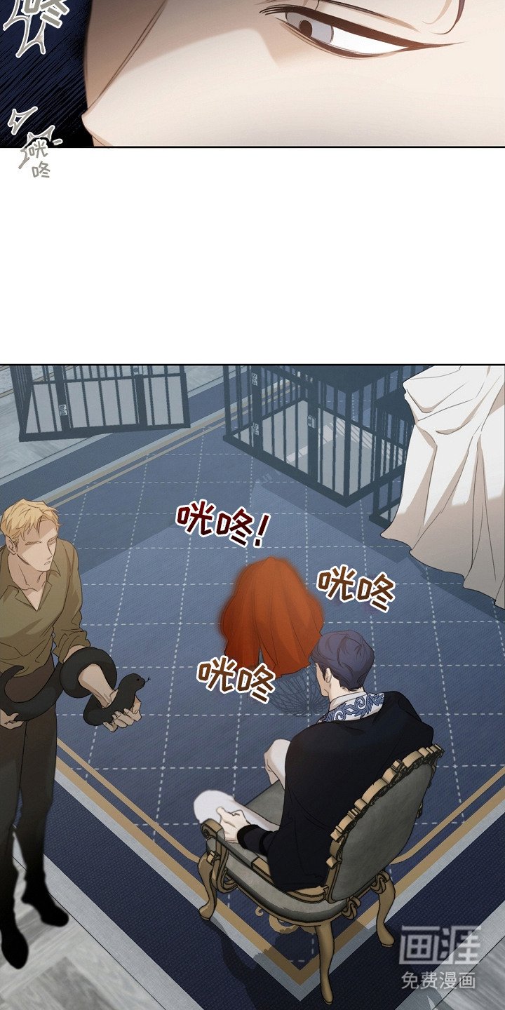 第8章：先发制人