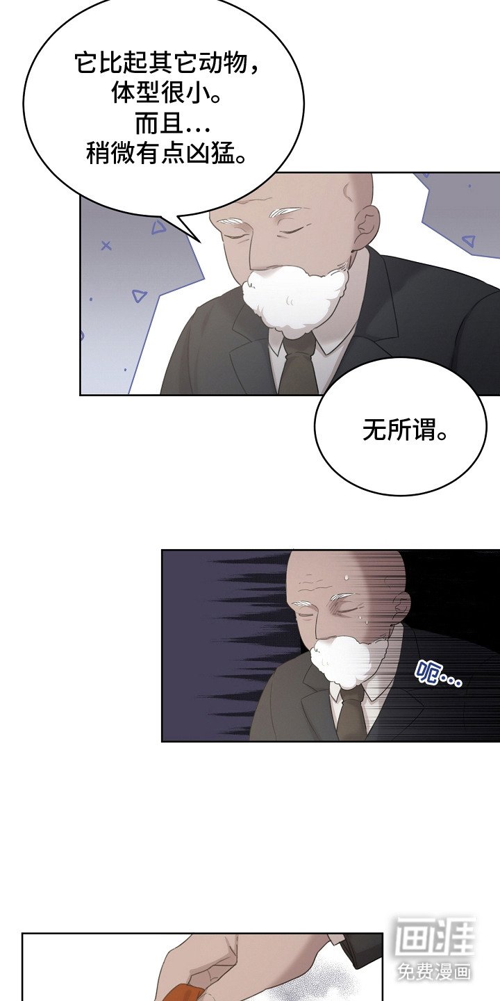 第8章：先发制人